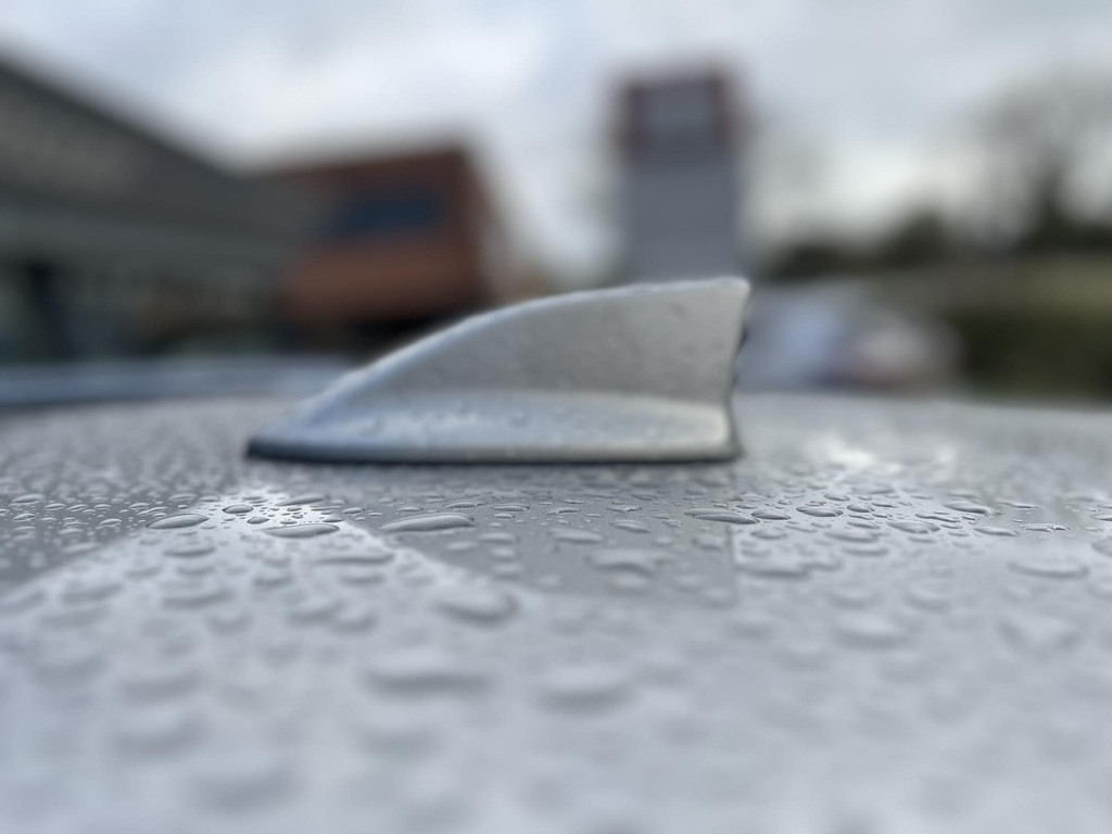 48639333-11.jpg